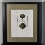 A03. Framed botanical print. 